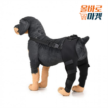 쿠션감 좋은 반려견 슬개골 관절 보호대 다리 탈구 예방, 보호대 M