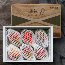 [올찬] 제주 애플망고 선물세트 (왕특대)3kg 5~6과 / 제주직송, 1, 상세설명 참조