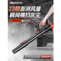 송풍기 무선송풍기 풍로 220v 강력한 먼지 리튬 헤어 드라이어 고전력 산업용 집진기 폭풍 총 불면, [01] CT 검정-Shenlong 폭발 모델 4600