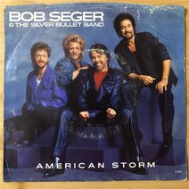 건방죽 LP판 희귀앨범 Bob Seger amp The Silver Bullet Band 7인치 LP 비닐 레코드