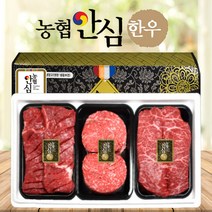 [농협안심한우] 1++ 투뿔 한우 소고기 선물세트 꽃등심 안심 불고기 국거리 산적 채끝 등심 선물포장 추석 설날 명절 선물세트 [9월25일 10시이전 주문시 명절전 도착], a. 한우 1++ 프리미엄선물세트 1호