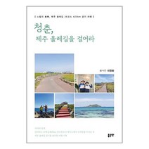 좋은땅 청춘 제주 올레길을 걸어라 (마스크제공), 단품, 단품