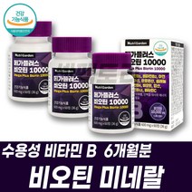 리보플라빈 엽산 비타민미네랄 수용성비타민B 비오틴 니아신 복합미네랄 필수영양제 건기식 niacin 피리독신 biotin 업산 시아노코발라민