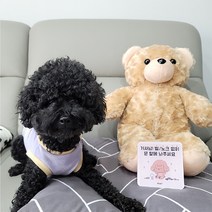 꼬잇 도어사인 강아지 고양이 디자인 문패 강아지가 짖어요 아크릴 스티커, 강아지_미니핀