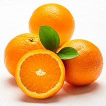 오렌지중소과 가성비 비교