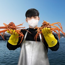 대게포크 증정 [오픈씨마켓] 선주직송 살이 꽉찬 100% 국산 포항 구룡포 자숙 대게 수율보장 (명품/박달), 국산 명품대게(대) 9 - 9.9cm 10마리
