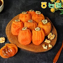 [농협] 자연건조 장성 대봉 반건시 곶감, 로얄과 10입, 1개