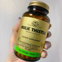 솔가 실리범 마리아넘 활성 허브 밀크씨슬 실리마린 450mg 100베지캡슐, 1개, 100캡슐