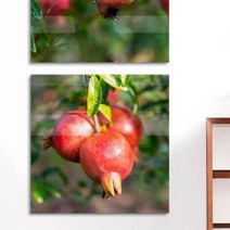 바보사랑 아크릴액자 풍수복이들어오는석류(중형).꾸밈(무료배송), 2.복