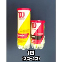 윌슨 테니스공 챔피언쉽 캔 볼 2구+3구 17900원 클레이용 하드용 빠른배송 엑스트라 듀티 선수용 경기용 미니 파우치 추가 선물포장, 1번(2구+3구)