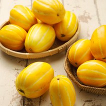 가정용흠집 성주 참외 소과 (5-7과) 1.5kg (기본포장)
