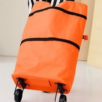 접이식 카트 시장 장 바구니 손수레 박세리 쇼핑 대여 다이소