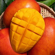 영화청과 특급 수입산 망고 2.5kg 가격 제철 선물, 1개, 쿠팡 본상품선택