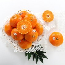 좋은맛닷컴 [초록자연] 레드향 3kg(8-10과) 제주 감귤