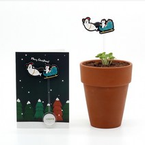 크리스마스 씨앗카드 썰매스위트바질, 상세페이지 참조