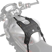 바이크 탱크 백 PCX 사이드 슈퍼커브 가방 센터백 오토바이 하드캐리어 백팩 리어백 박스, 탱크백 베이스(1개)