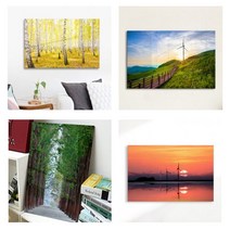 산과 바다 그리고 일출 하늘 자연의 아름다운 풍경의 선명하고 다채로운 자연풍경 이미지 모음 아크릴액자, 02. 노란황금빛자작나무(대형)