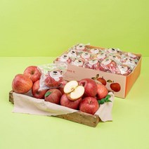 [우체국쇼핑] 경북능금농협 안동 곰돌이 세척사과 2.5kg 14-15과내 햇사과 부사, 안동 곰돌이 세척사과 2.5kg 14~15과