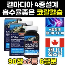 코랄 칼슘 마그네슘 비타민d 아연 칼디 칼마 칼슝 2통 칼마그 플러스 프리미엄 맥칼디 칼멕 칼마그디 칼멕디 칼마아디 칼슘마그네슘아연 고칼슘제 마칼디 고함량 칼슘마그네슘아연비타민d