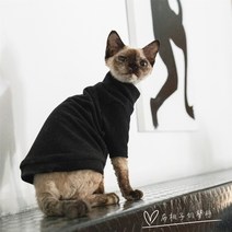 스핑크스고양이옷 꼴갑옷 털없는고양이옷 예쁜 애완묘, 블랙