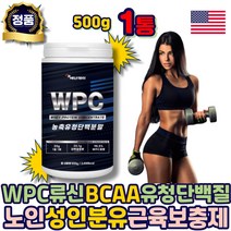 노인 단백질 보충제 BCAA 류신 WPC보충제 고단백 맛있는 쉐이크 프로틴 분말 가루 근육 고농축 성인분유 시니어 어르신 부모님 청소년 60대 70대 80대 90대 에좋은 추천