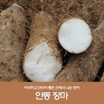 인기 많은 안동마5kg특품 추천순위 TOP100 상품