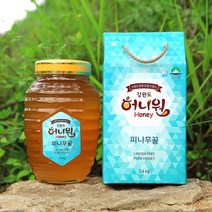 강원허니원 자연 채밀 피나무 벌꿀 2.4kg, 1개