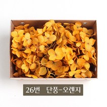 화연양화 블루밍수국 박스수국 컬러최다 30색! 프리저브드플라워, 26 단풍-오렌지