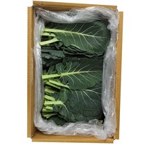 꿀비마켓 케일 300g 1kg 장보기