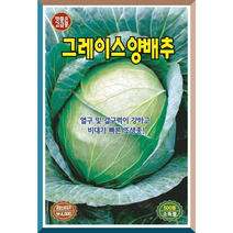 그레이스양배추씨앗 500립