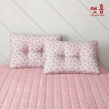 앳홈 플로럴가든 알러지케어 빨아쓰는 경추베개솜 50x70 (1+1), 블루