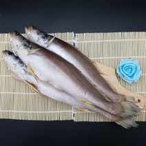 선우수산 반건조생선 민어뾰족조기 3마리