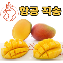 항공 직항 페루/브라질 프리미엄 대과 애플망고 2kg 4kg 고당도 열대과일, 2kg내외(4~6과), 1개