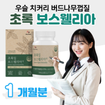 초록입 보스웰리아 하루 2정 인도산 보스웰릭산 초록 입 홍합 우슬 버드나무 껍질 치커리 홈쇼핑 영양제 프리미엄 골드 플래티넘 성분 가격 효능 비교 등산 조깅 런닝 필라테스, 1개월분, 1000mg x 60정 (하루두알)