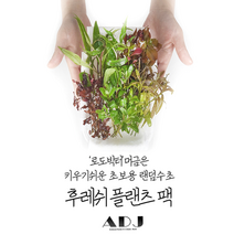 [ADJ] 후레쉬 플랜츠 팩! 키우기 쉬운 초보용 랜덤 수초세트