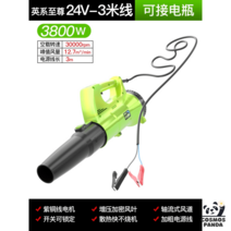 무선 낙엽 청소기 고압 고출력 세차 휴대용 산업용 블로워, CRT-24V-3m-3800W