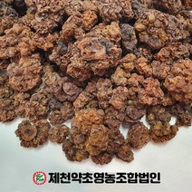 국산 충영 개다래 300g 제천약초영농조합, 1, 300