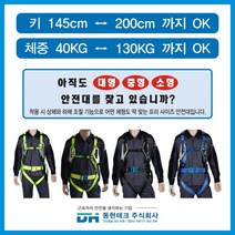 동현테크 [세계 최초 프리사이즈 안전벨트] - 더블 죔줄 벨트O, Free-S-P-03 (파랑색) 벨트O, 1개