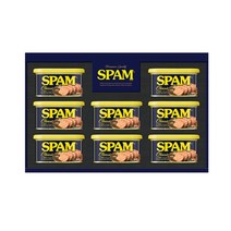 CJ제일제당 스팸 12호 x 2세트, 단품