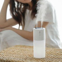 은은한조명 LED 무드 탁상용가습기 휴대용 오피스 온실 스터디카페 캠핑장 가을 안방, 듀얼제트분사 DQ110가습기 핑크(USB전원)