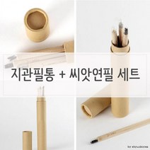 지관 필통 n 싹이나는 씨앗 연필 세트 식물 인테리어 화분 거실 미니, 씨앗선택/봉선화