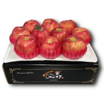 프리미엄 경북 아침이슬사과 설날 선물세트, 제수용 5kg(12-14과)