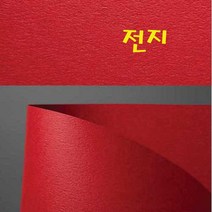 두성 116g 디자이너스지 전지 낱장판매, P50