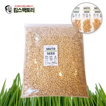 캣그라스 씨앗 1kg 캣잎 키우기 펫그라스 귀리씨앗, 04. 씨앗 1kg-보리