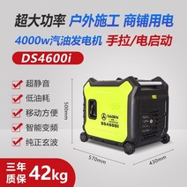 캠핑용발전기 무소음발전기 비상발전기 소형발전기 Rejim 3kw 가솔린 발전기 220v, 사든 ds4600i 4000와트