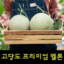 영화농산 프리미엄 멜론 12kg 곡성멜론 멜론가격, 상품선택