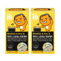 마이니 스트레스 피로 케어 홍경천 추출물 활력 비타민 B군 B1 B2 B6 B12 나이아신 비오틴 엽산 판토텐산 수용성 영양제 직장인 수험생 보충제 건강기능식품 일동제약 제품, 2박스, 마이니 스트레스 피로케어 60회분