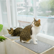 캣돌 고양이 창문 창틀 선반 캣타워