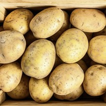 자색감자 햇감자 두백감자 못난이감자, 햇 수미감자 소 3kg