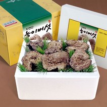 [송림山속] 강원도 자연산 능이버섯 1kg8~15뿌리, 1개